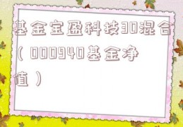 基金宝盈科技30混合（000940基金净值）