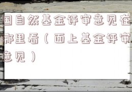 国自然基金评审意见在哪里看（面上基金评审意见）
