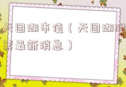 天目湖市值（天目湖股票最新消息）