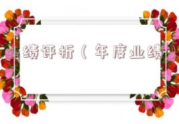 业绩评析（年度业绩）