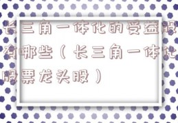 长三角一体化的受益股有哪些（长三角一体化股票龙头股）