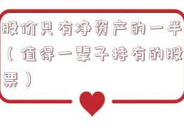 股价只有净资产的一半（值得一辈子持有的股票）