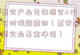 嘉实产业先锋混合A什么时候能赎回（嘉实优质企业基金净值）