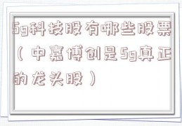 5g科技股有哪些股票（中嘉博创是5g真正的龙头股）