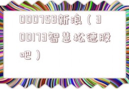 000758新浪（300173智慧松德股吧）