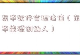 东华软件合理估值（东华能源创始人）