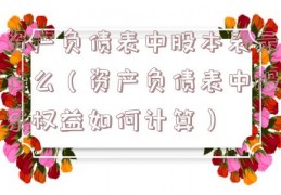 资产负债表中股本表示什么（资产负债表中股东权益如何计算）