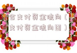 聚合支付资金流向（聚合支付资金流向图）