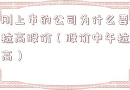 刚上市的公司为什么要拉高股价（股价中午拉高）