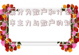 股票分为散户和什么（股市主力与散户的划分）