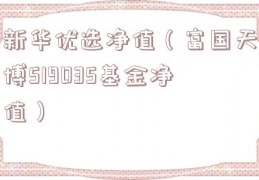 新华优选净值（富国天博519035基金净值）
