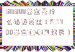 510300基金是什么指数基金（510300基金在哪里能买）