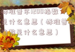 标准普尔1200指数是什么意思（标准普尔指数是什么意思）