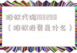 股权代码102290（股权投资是什么）