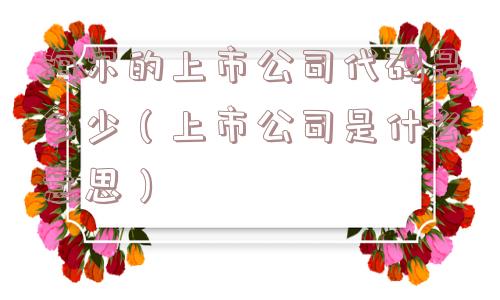 海尔的上市公司代码是多少（上市公司是什么意思）