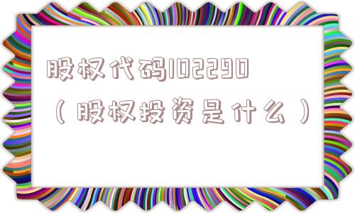 股权代码102290（股权投资是什么）