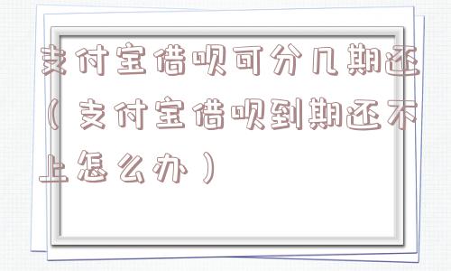 支付宝借呗可分几期还（支付宝借呗到期还不上怎么办）