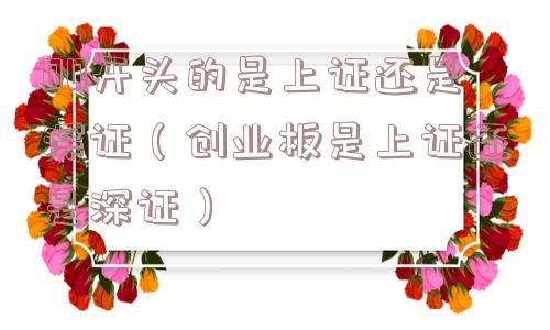 00开头的是上证还是深证（创业板是上证还是深证）