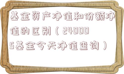 基金资产净值和份额净值的区别（240005基金今天净值查询）