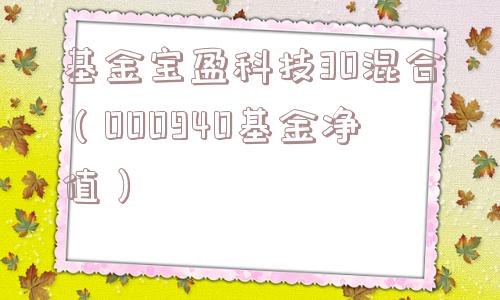 基金宝盈科技30混合（000940基金净值）