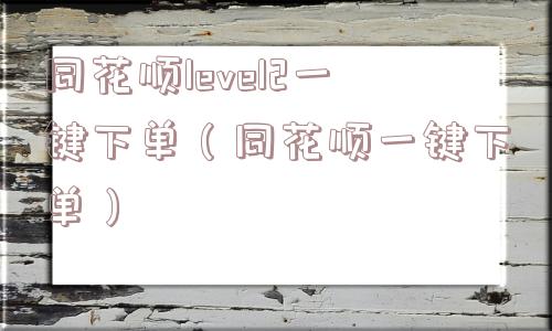 同花顺level2一键下单（同花顺一键下单）