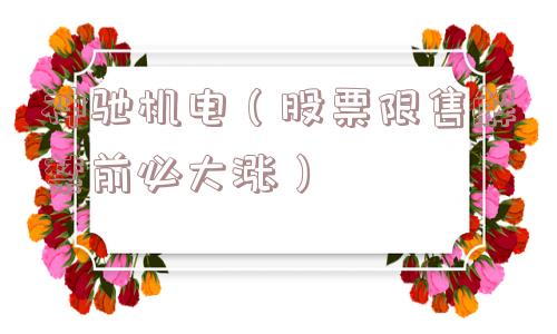 神驰机电（股票限售解禁前必大涨）