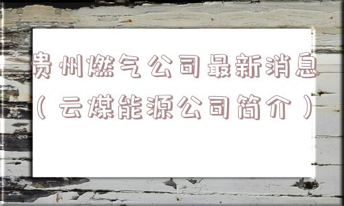 贵州燃气公司最新消息（云煤能源公司简介）