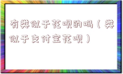 有类似于花呗的吗（类似于支付宝花呗）