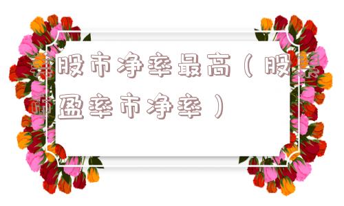 美股市净率最高（股票市盈率市净率）