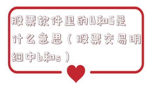 股票软件里的B和S是什么意思（股票交易明细中b和s）