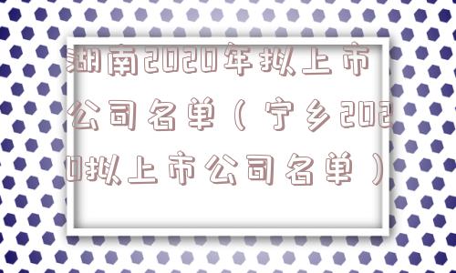 湖南2020年拟上市公司名单（宁乡2020拟上市公司名单）