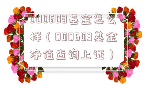 000603基金怎么样（000603基金净值查询上证）