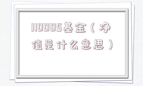 110005基金（净值是什么意思）