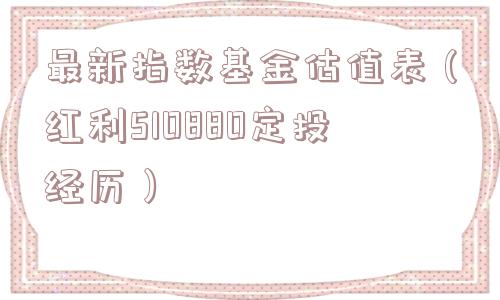 最新指数基金估值表（红利510880定投经历）