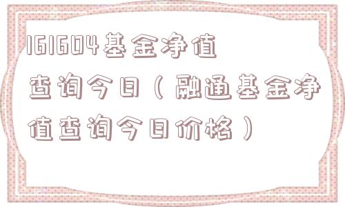 161604基金净值查询今日（融通基金净值查询今日价格）
