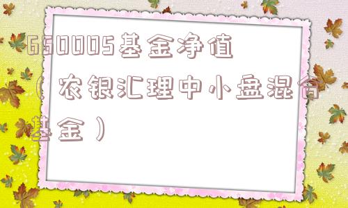 660005基金净值（农银汇理中小盘混合基金）