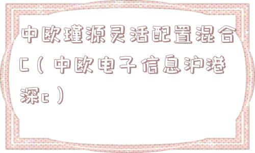 中欧瑾源灵活配置混合C(中欧电子信息沪港深c) 中欧瑾源灵活配置混合C(中欧电子信息沪港深c)