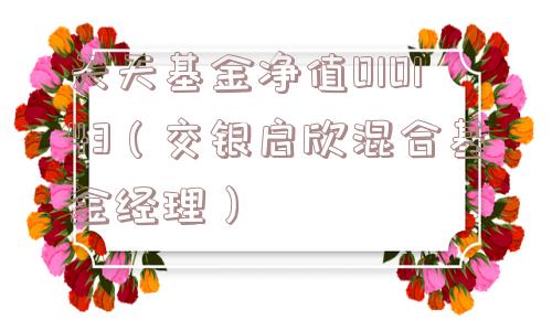 天天基金净值010143（交银启欣混合基金经理）