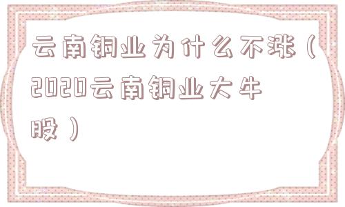 云南铜业为什么不涨（2020云南铜业大牛股）