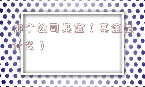 哪个公司基金（基金是什么）