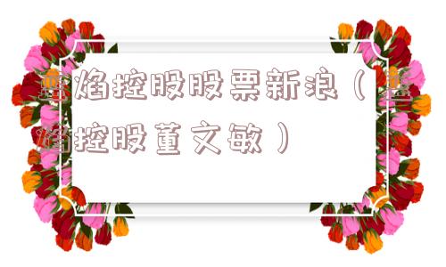 蓝焰控股股票新浪（蓝焰控股董文敏）