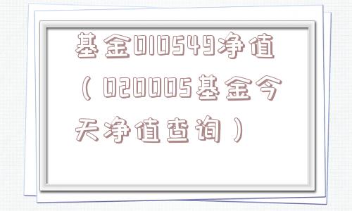 基金010549净值(020005基金今天净值查询) 基金010549净值(020005基金今天净值查询)
