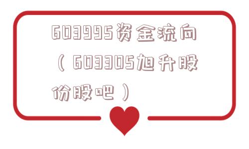 603995资金流向（603305旭升股份股吧）