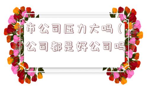 上市公司压力大吗（上市公司都是好公司吗）