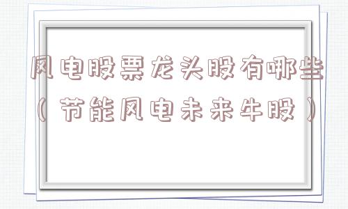 风电股票龙头股有哪些（节能风电未来牛股）
