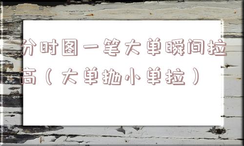 分时图一笔大单瞬间拉高（大单抛小单拉）