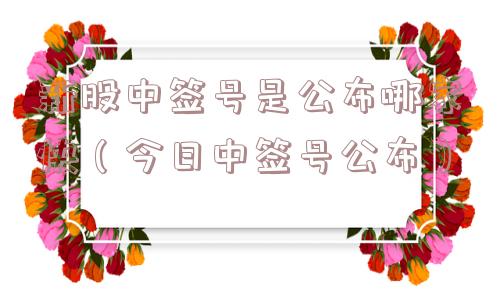 新股中签号是公布哪家快(今日中签号公布) 新股中签号是公布哪家快(今日中签号公布)