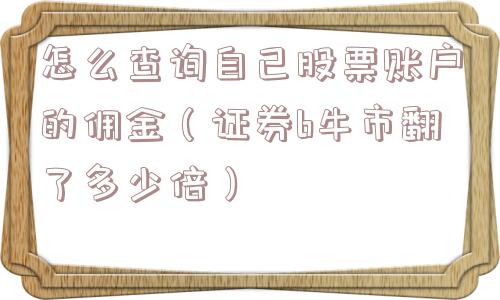 怎么查询自己股票账户的佣金（证券b牛市翻了多少倍）