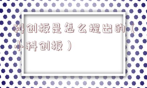 科创板是怎么提出的（小科创板）