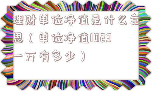 理财单位净值是什么意思（单位净值1023一万有多少）